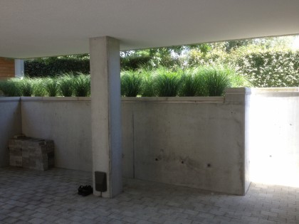 archituin